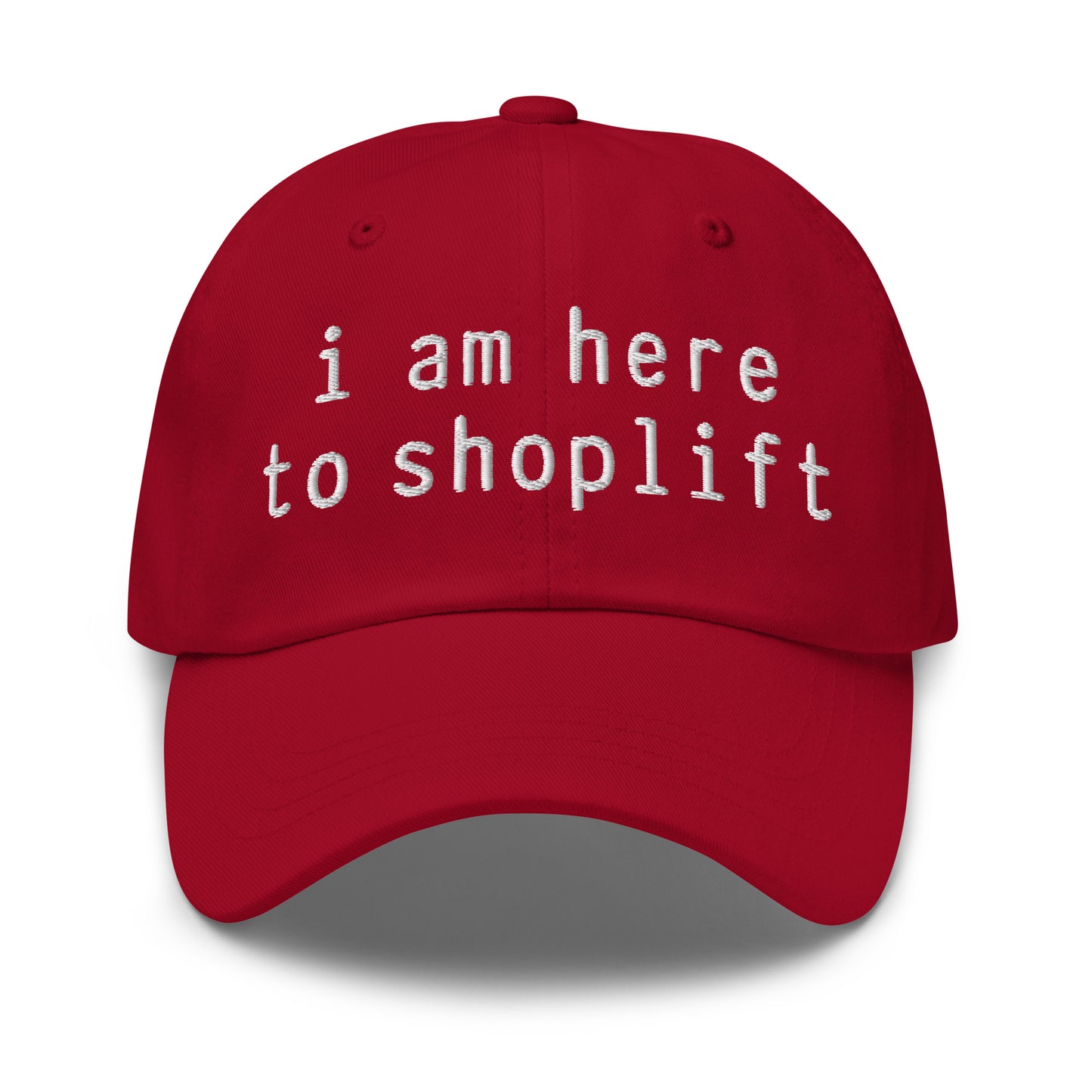 I Am Here To Shoplift