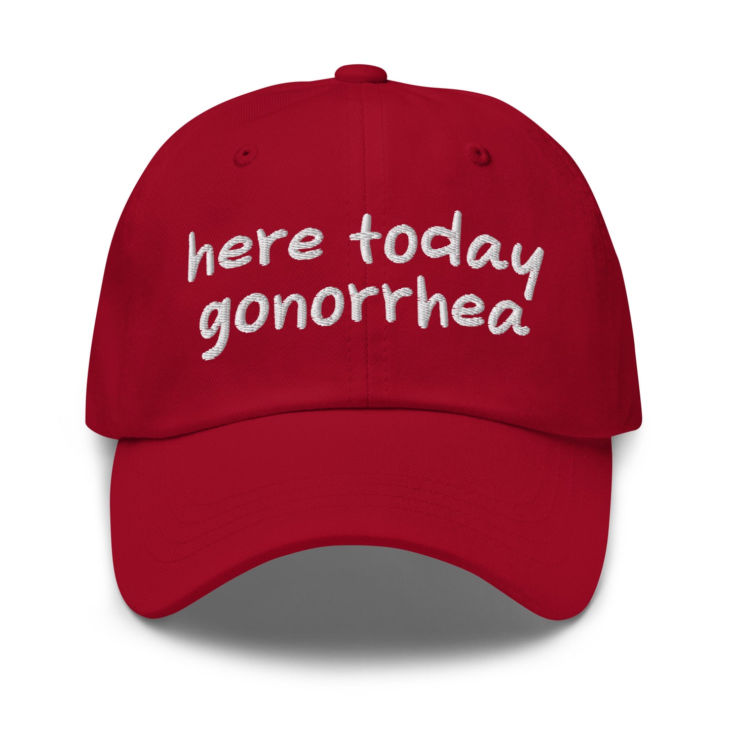 Here Today Gonorrhea dad hat, embroidered offensive slogan cap, dark humor meme hat, inappropriate quote dad cap, edgy baseball caps, ironic embroidered hat for meme lovers.