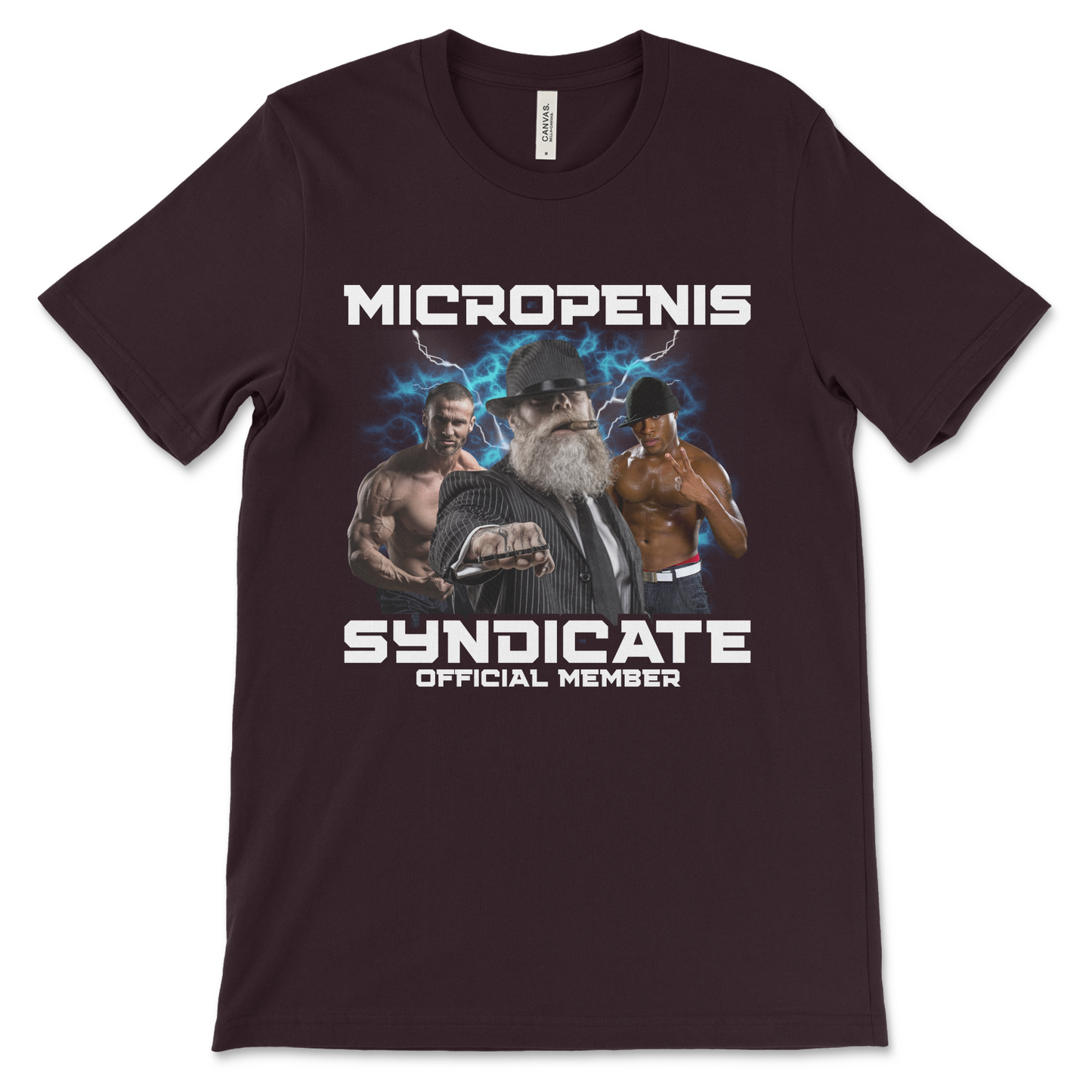 Cringe offensive micropenis t-shirt with horrible meme humor that’s both nasty and stupid.