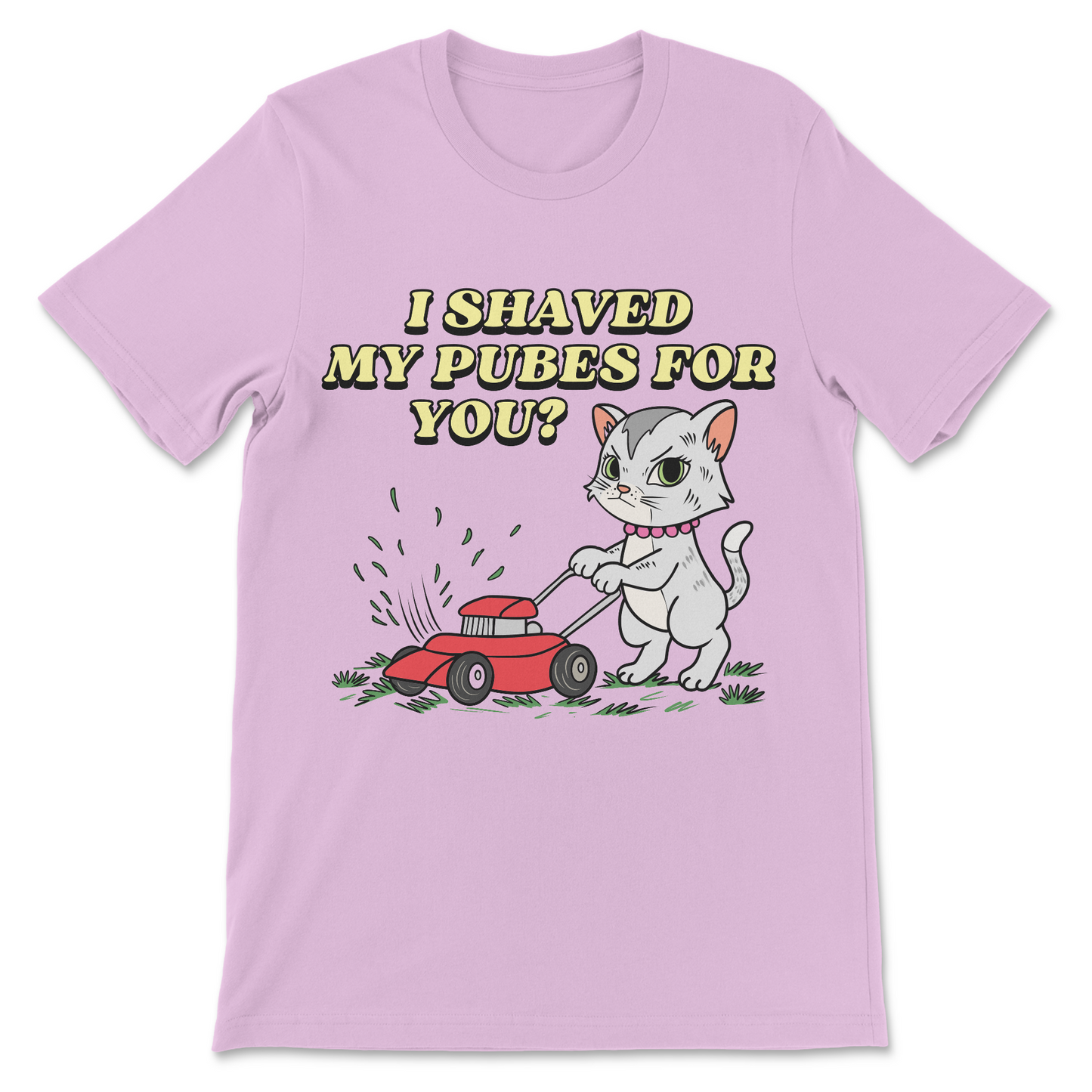 I Shaved My Pubes For You? T-Shirt