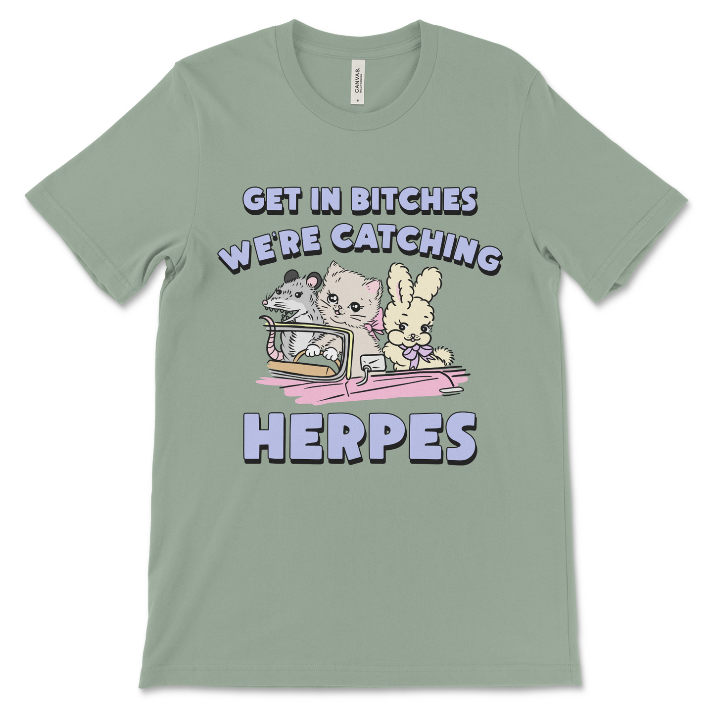 Funny offensive women’s herpes shirt with ironic vulgar style.