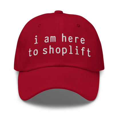 I Am Here To Shoplift