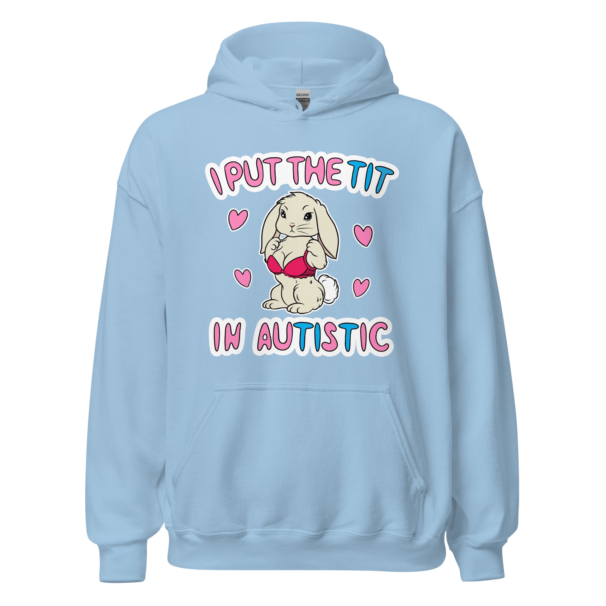 dirty autistic hoodie with a cute bunny, inappropriate hoodie for women 