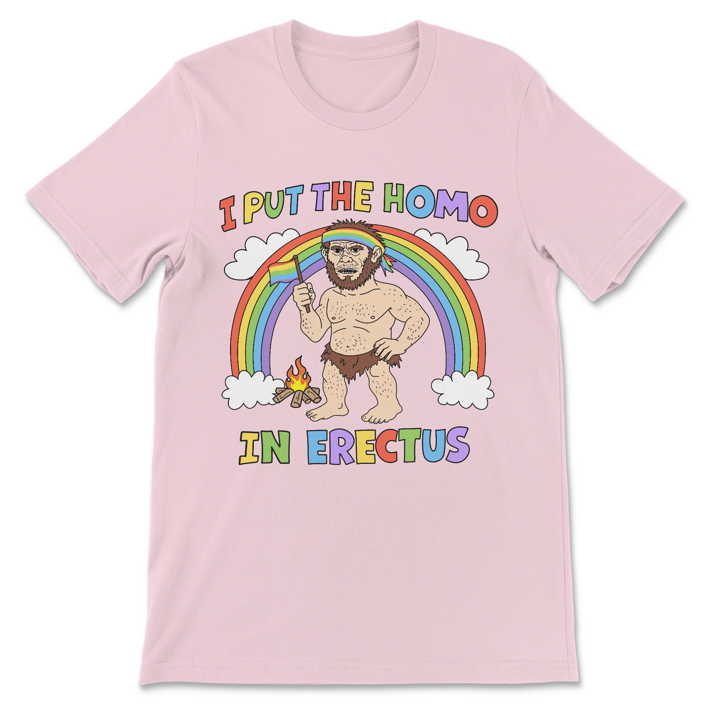I Put the Homo in Erectus sarcastic adult humor shirt