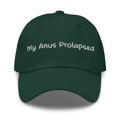 my anus prolapsed embroidered meme style hat
