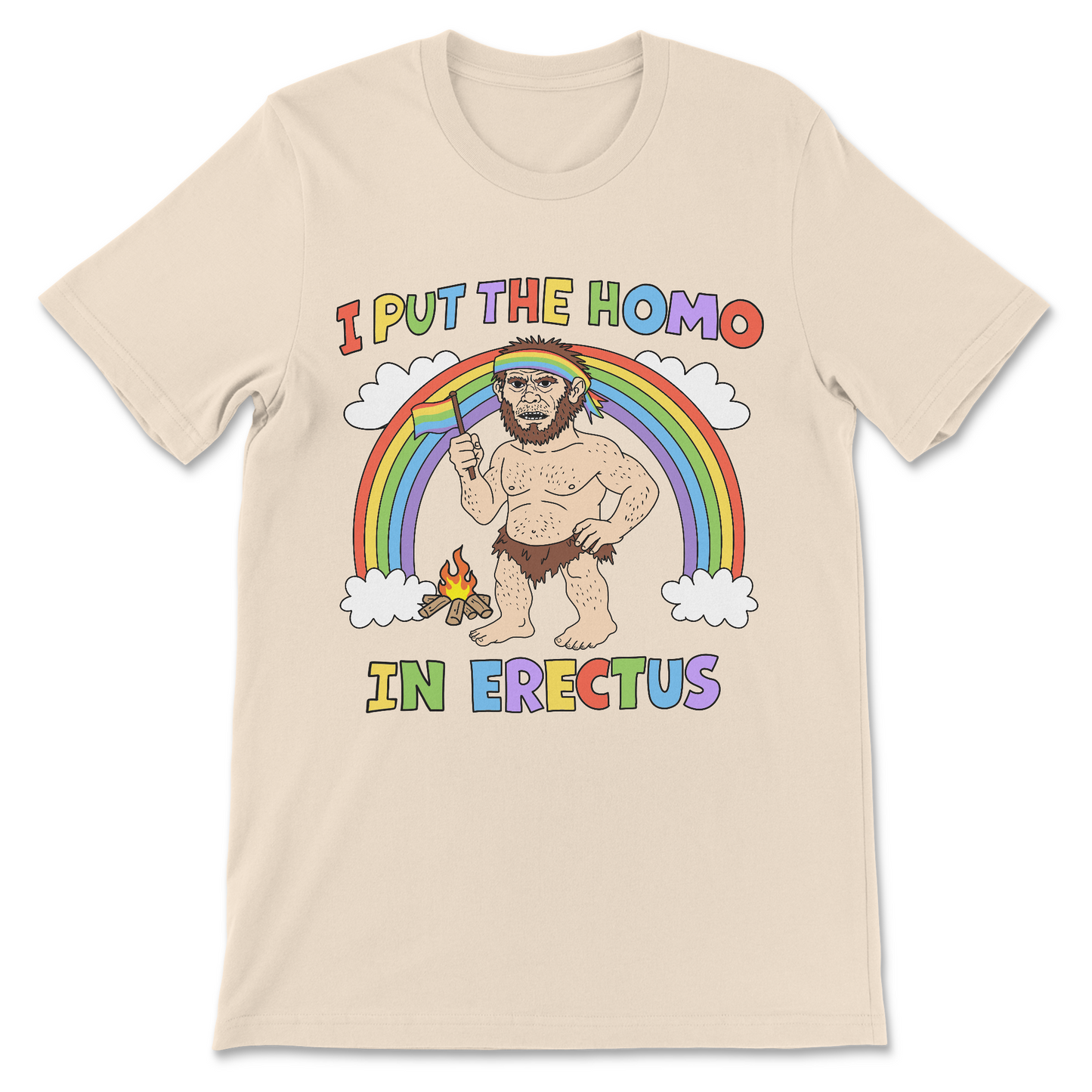 I Put the Homo in Erectus ironic graphic t-shirt
