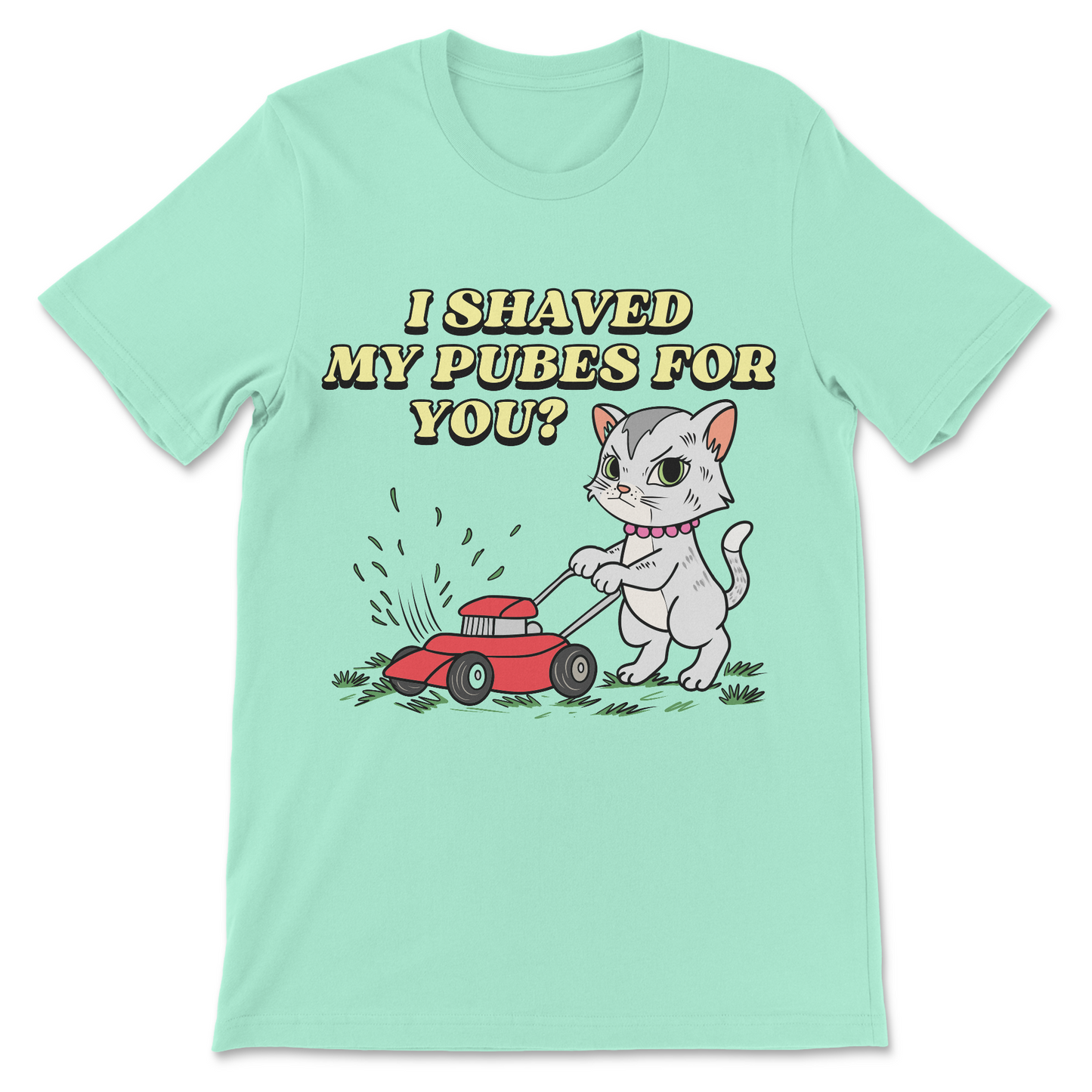 I Shaved My Pubes For You? T-Shirt