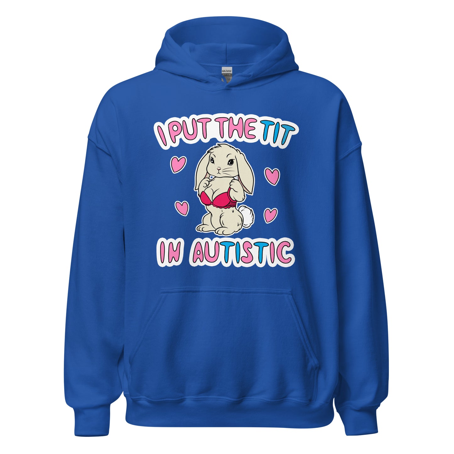 funny and raunchy autistic meme hoodie