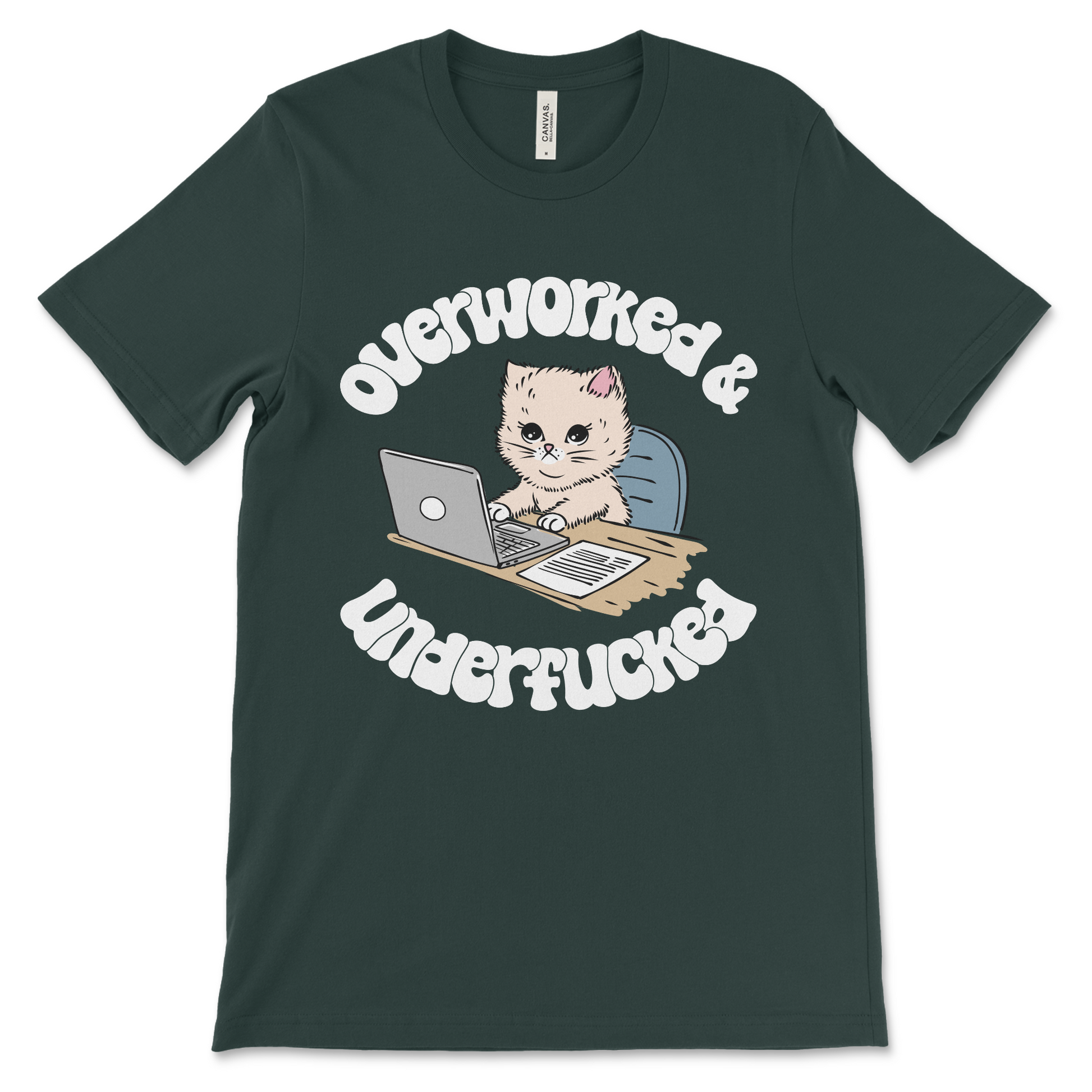Overworked and Underfucked vulgar shirt, ironic offensive design.