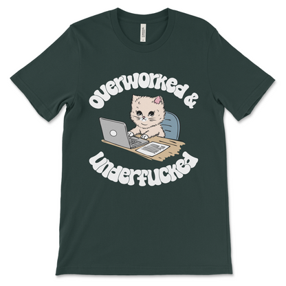 Overworked and Underfucked vulgar shirt, ironic offensive design.