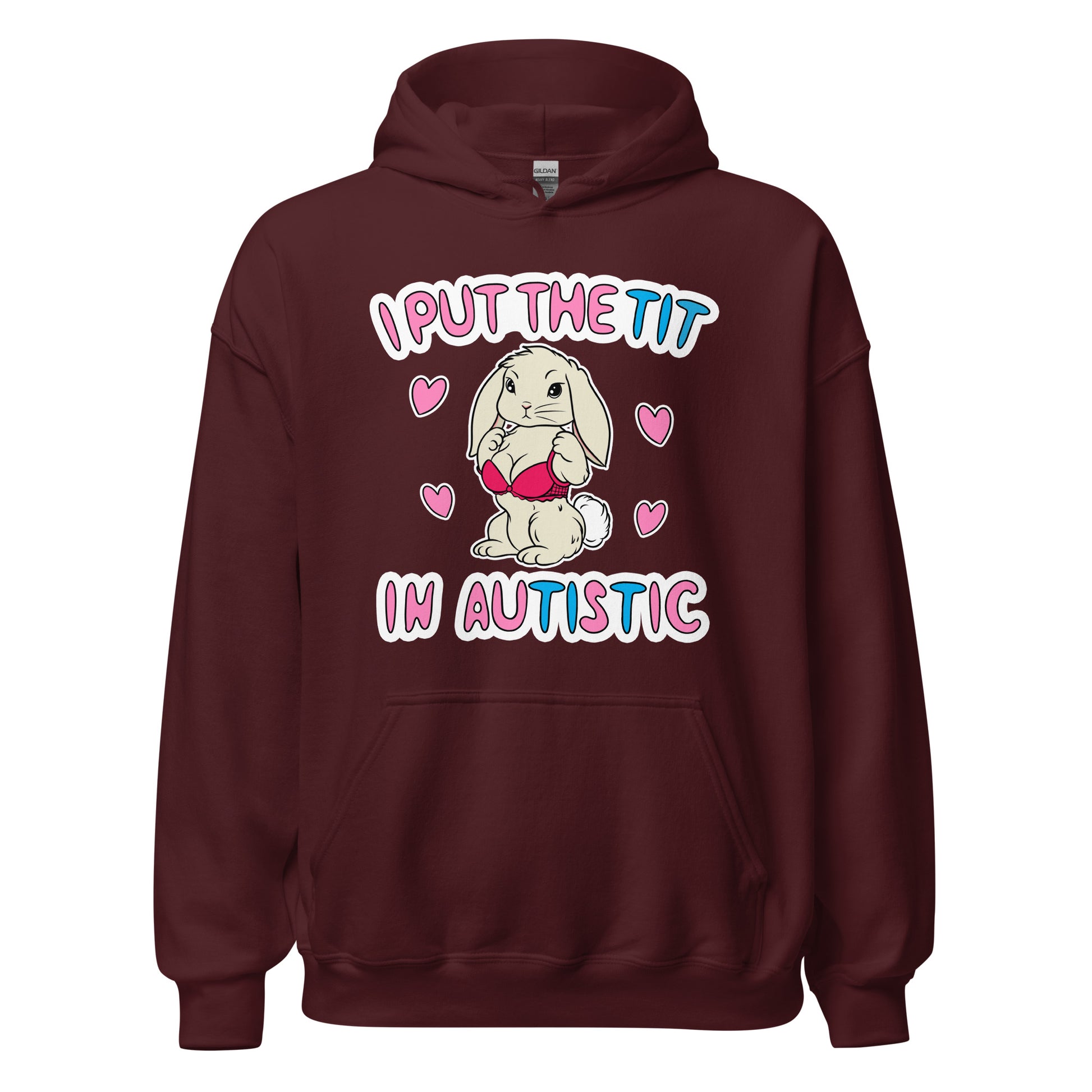 i put the tit in autistic offensive hoodie