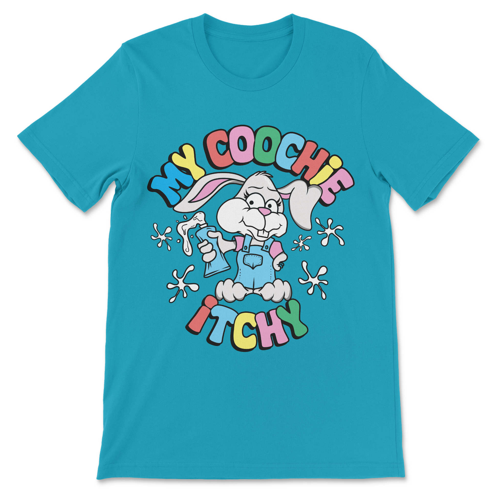 crude humor women’s shirt text graphic tee
