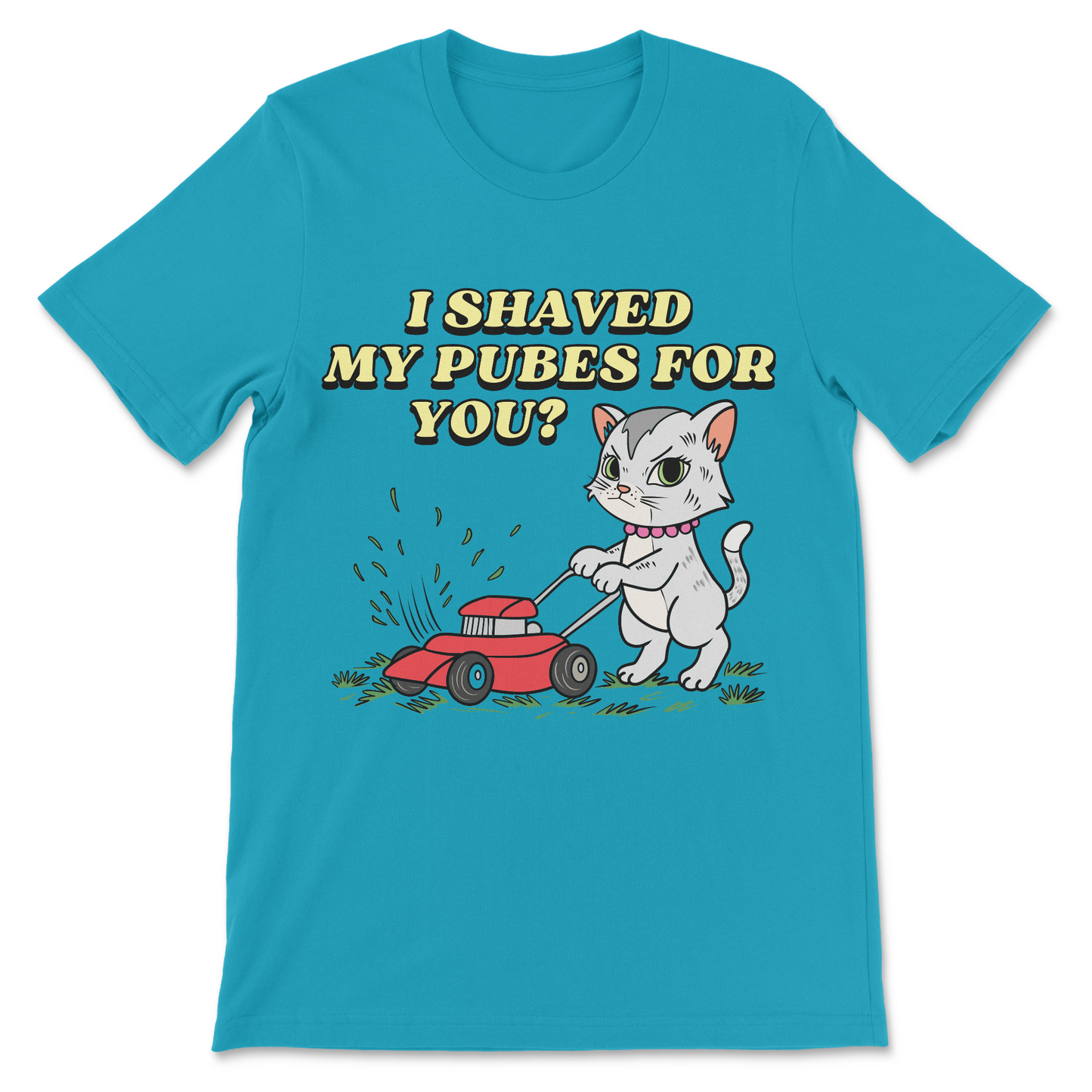 I Shaved My Pubes For You? T-Shirt