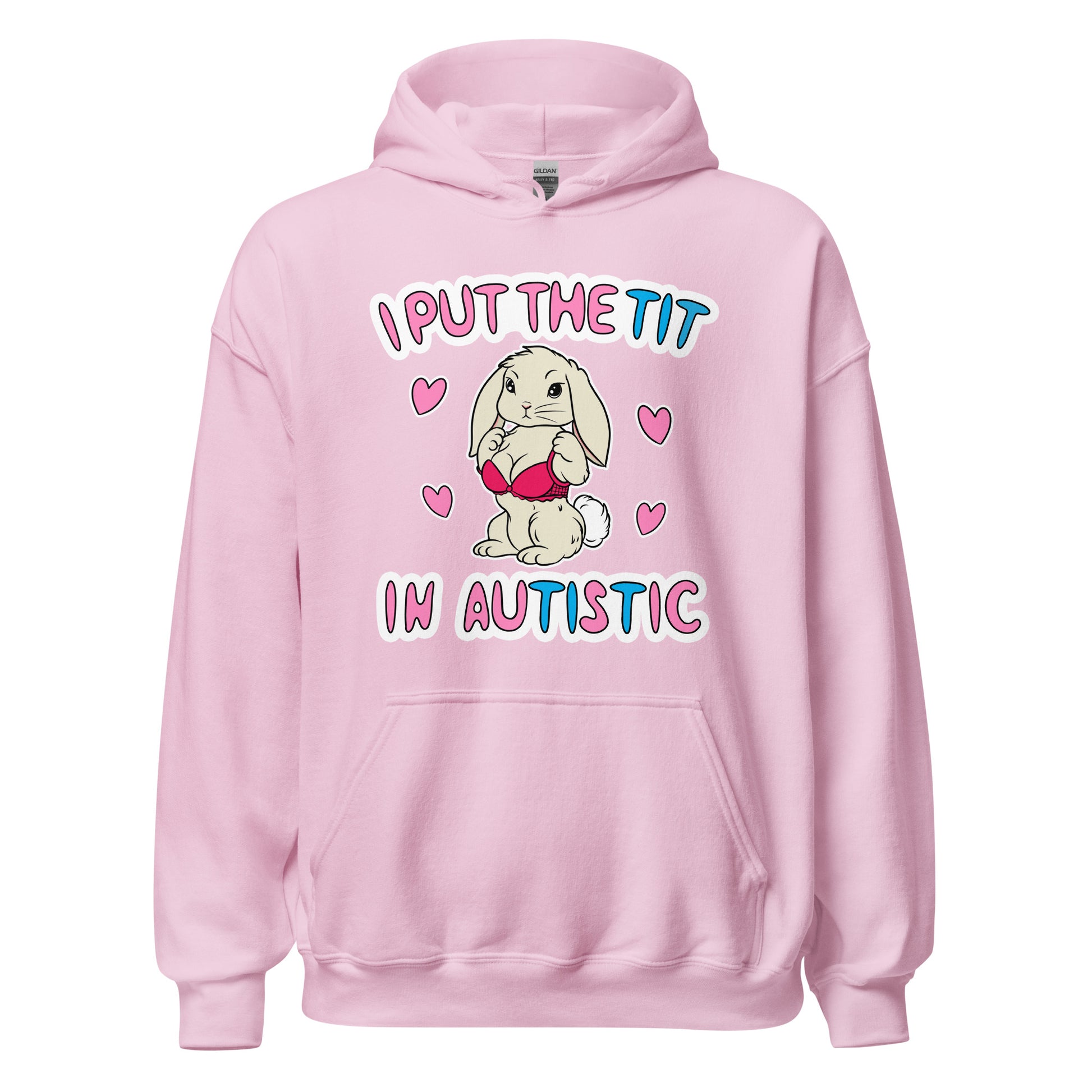 unisex funny autistic hoodie with dirty joke text