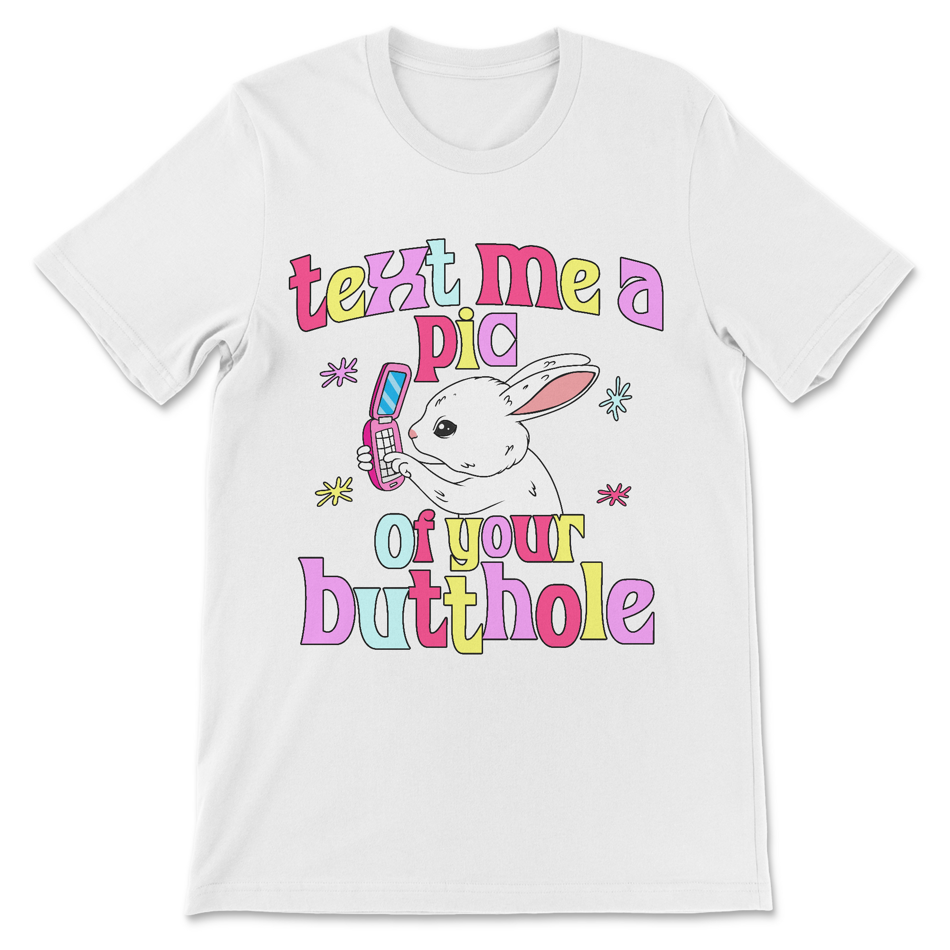 Text Me a Pic of Your Butthole offensive graphic t shirt
