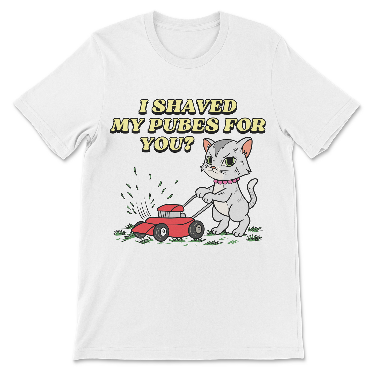 I Shaved My Pubes For You? T-Shirt