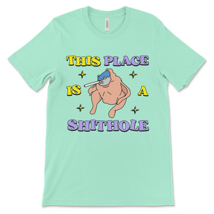 Shirt that doesn’t make sense, intentionally weird and controversial. Fits into the category of offensive anti-USA meme shirts.