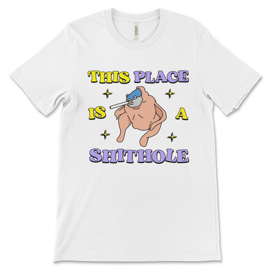 This Place Is a Shithole shirt, political satire graphic tee, offensive dark humor t-shirt, anti-establishment joke apparel, inappropriate novelty shirt.