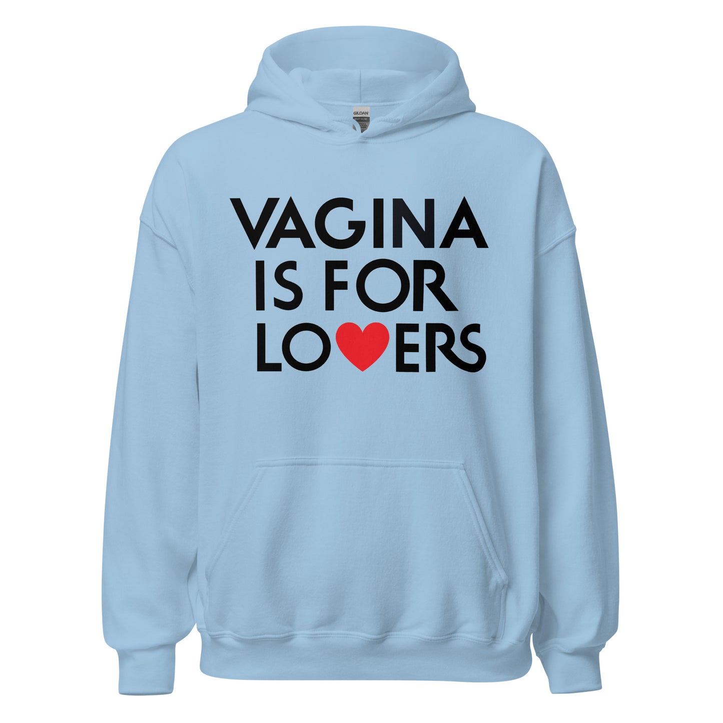 Funny graphic hoodie featuring the phrase Vagina Is for Lovers.
