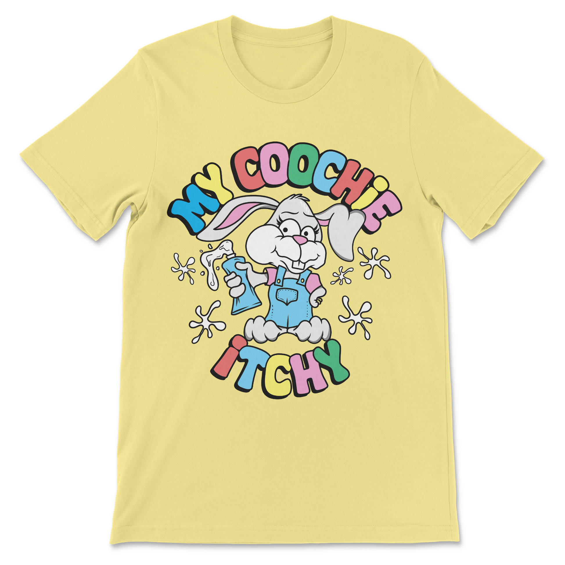 funny offensive women’s shirt meme slogan design

